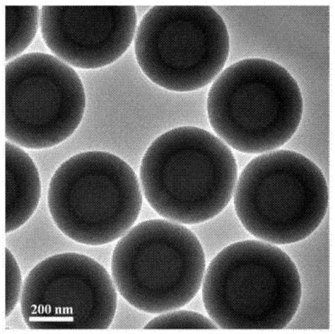 一种杂原子掺杂聚合物为壳的核壳结构纳米材料及其制备方法与流程
