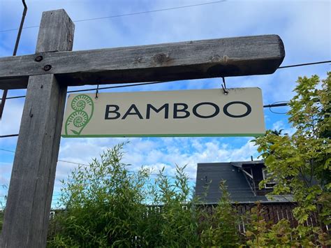 Bamboo Makes a Beautiful, Living, Privacy Screen — West Seattle Nursery