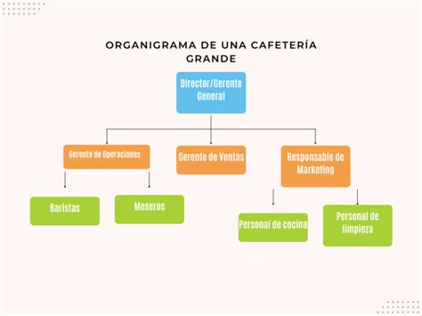 Organigrama de una cafetería Guía para crearlo ejemplos