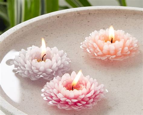 Three Pink Flowers Sitting On Top Of A White Plate