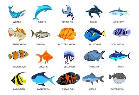 Fisch Icon Set Flacher Satz Von Fisch Vektor Illustrationen Isoliert