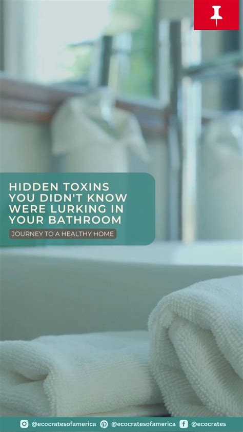 JOURNEY TO A HEALTHY HOME Hidden Toxins You Didn T Know Were Lurking