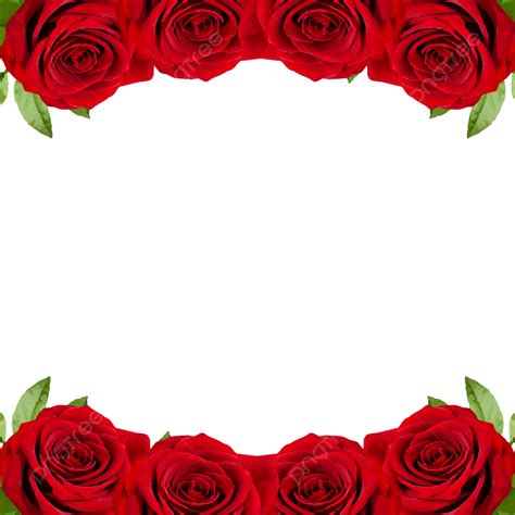 Marco De Nuevas Flores Rojas Png Dibujos Rosa Vintage Flores Rosa