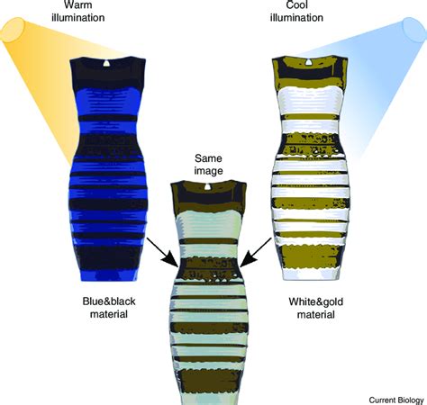 Blue and black dress explanation | Dresses Images 2022