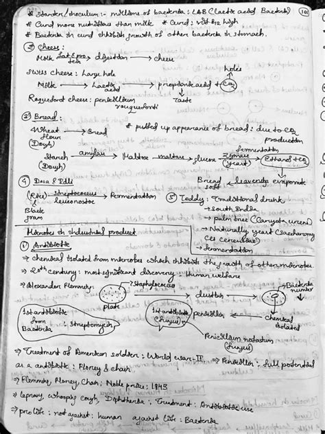 Microbes in humans welfare | PDF 