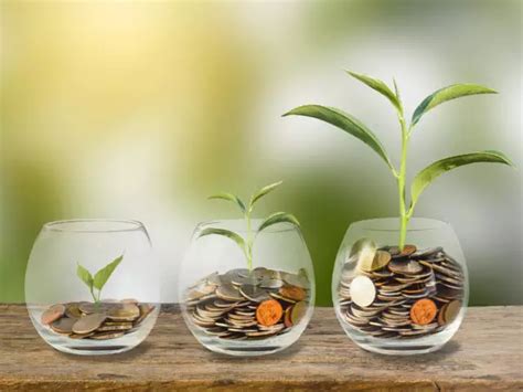 Top Performing Small Cap Funds In Years Schemes With Up To