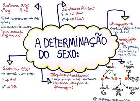 Mapa Mental De Biologia Genetica Genetica Resumo Mapas Mentais Images