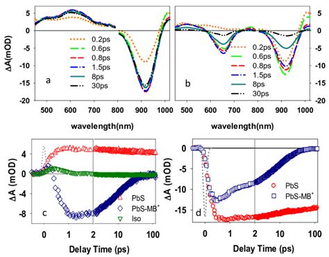 Comparison Of Transient Spectra And Kinetics Of Pbs Qds And Pbs Mb