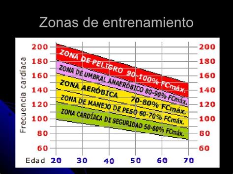 Frecuencia Cardiaca Y Ejercicio Ejercicios Entrenamiento Fitness Ciclismo Entrenamiento