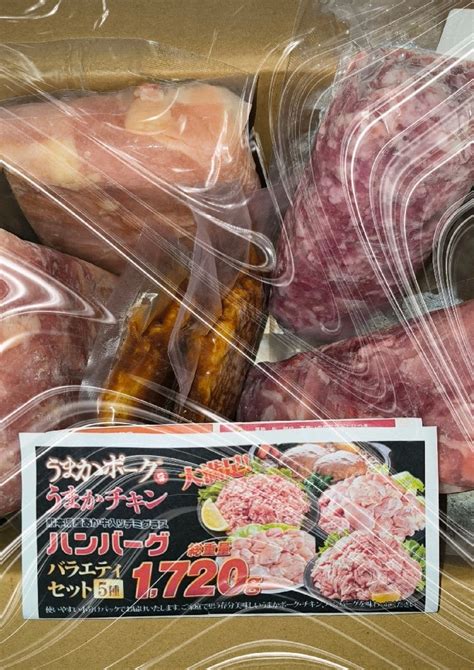 【半額sale＆エントリー・買い回りでポイント最大12倍】 総重量1720g お肉5種 バラエティセット 肉 豚肉 鶏肉 ハンバーグ 5種