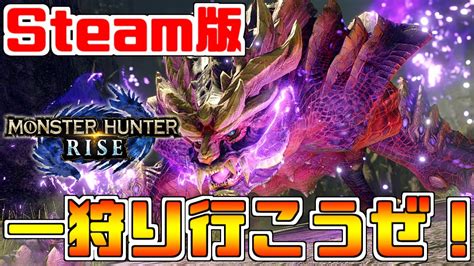 【mhrise】steam版が狩猟解禁！『モンスターハンターライズ』pc版でも一狩り行こうぜ！ライトボウガンソロ攻略実況プレイ！【モンハン