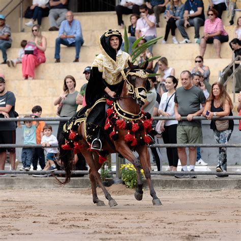 Mais Uma Vez Exposi O Do Cavalo Rabe Ser Realizada No Parque Da