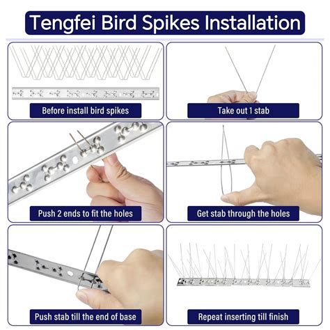 Best Advanced Rooftop Bird Spikes – Defend Against Pigeons with