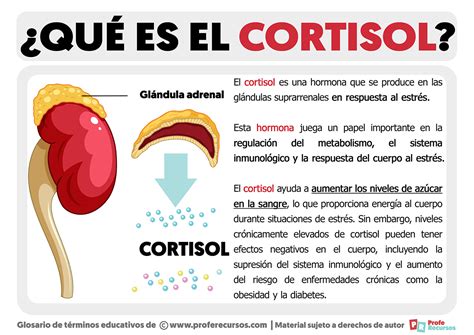 Ciències ESO BioGeo 3r Drogues El cervell Sistema nerviós i hormonal