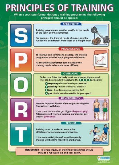 Principles Of Training Physical Education School Posters Physical Education Lessons