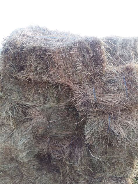 Сено в тюках. Разнотравье