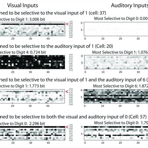 | Examples of cell activations. Each row shows the activations of ...