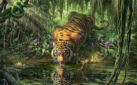 Tiger Drinking Water Wallpaper Hd - Infoupdate.org