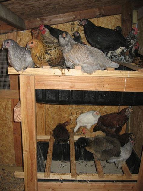 Very Recommended Chicken Roosting Ideas For Coop Chicken Perches