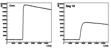 Example pulses from the core and segment 19 from the data sample used ...