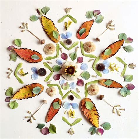 Arte Com Folhas E Flores - Flora Forager usa pétalas de flores, sementes e folhas para criar ...