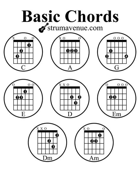 basic guitar chords  easy chords