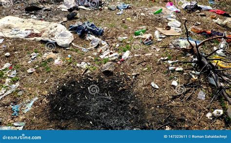 Mucha Basura Cae En La Tierra En El Bosque El Problema De La