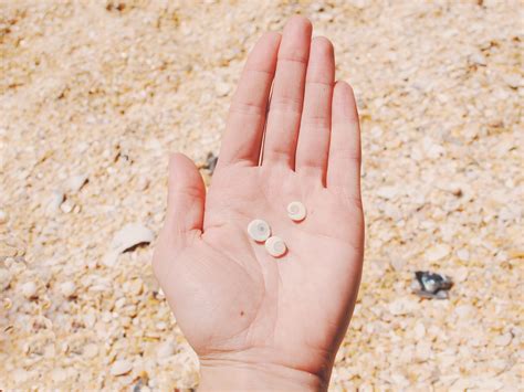 Banco De Imagens Mão De Praia Areia Mulher Perna Criança Unha