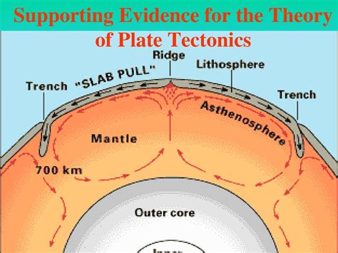 Continental Drift And The Theory Of Plate Tectonics Notes Ppt Download