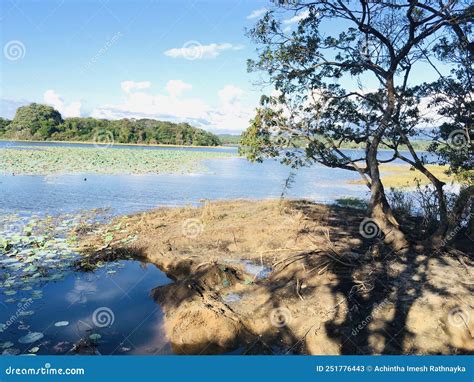 Bathalagoda Wewa Reservoir In Kurunegala Stock Image Image Of Lake