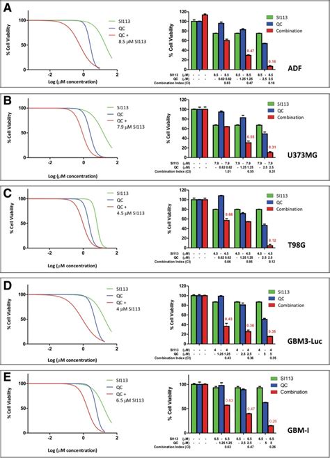 The Kinase Inhibitor SI113 Induces Autophagy And Synergizes With