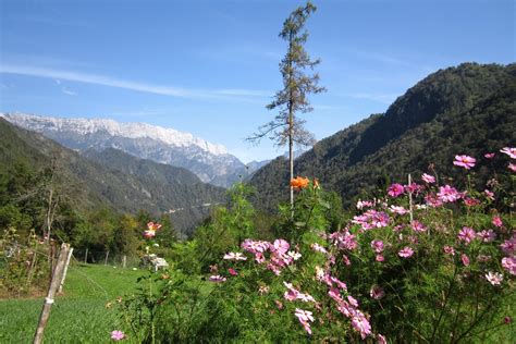 Image detail for -... Italy, Province of Pordenone on Fotopedia - The ...