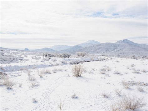 Chihuahua Bajo Intensas Nevadas Alertan Cierres Carreteras