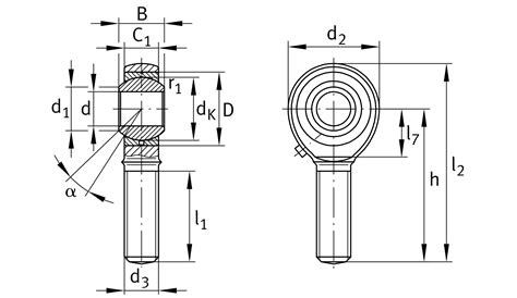 GAKL10 PB Cabeza De Rotula Informarse Y Comprar Online En Schaeffler