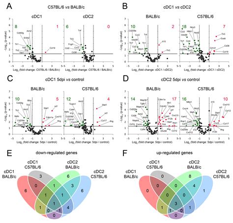 Cells Free Full Text Differential Activation Of Splenic Cdc1 And