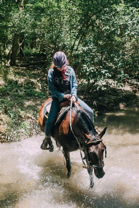 American Quarter horse - Maverick Horseback Riding