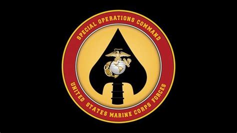 MARSOC identifies seven Marines who died in accident > The Official ...