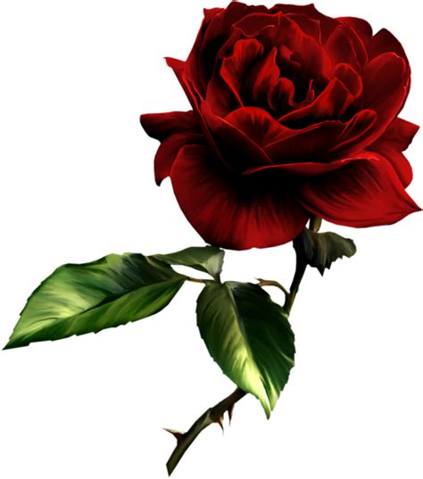 Red Rose Clip Art Free - ClipArt Best