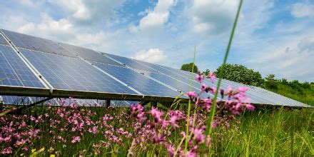 Mw Solarleistung Ohne Eeg Enbw Baut Gr Ten Solarpark In Baden