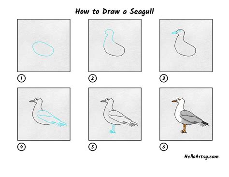 How To Draw A Seagull