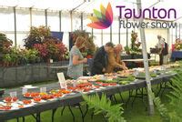 Taunton Flower Show | National Vegetable Society