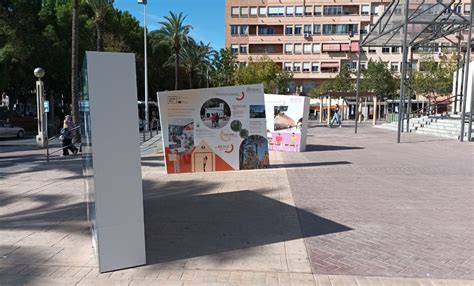 Exposici N Edusi Ayuntamiento De Elche