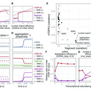 The mammalian nonsense-mediated mRNA decay (NMD) rule. Stop codons ... 