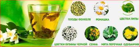 Травы для похудения, сжигающие жир, мочегонные, для снижения аппетита ...