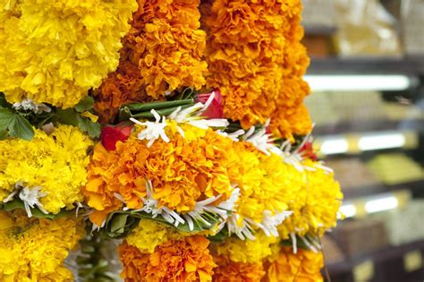 Mumbai - Shree Mahalakshmi Temple