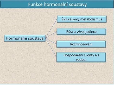 L Zy S Vnit N Sekrec Hormon Ln Soustava Ppt St Hnout