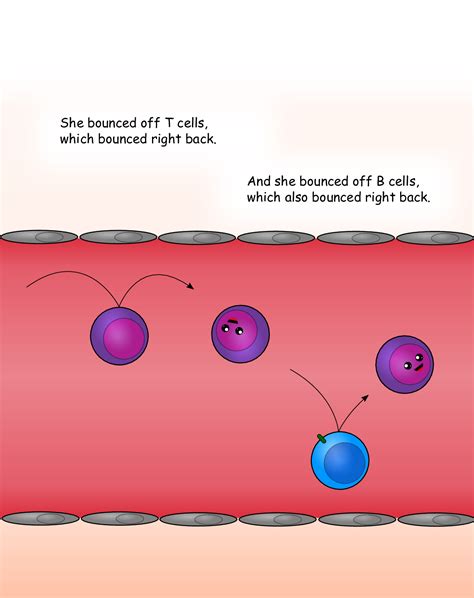 Page 07 (Blood Cells 2) · Tara the T-cell's Big Adventure