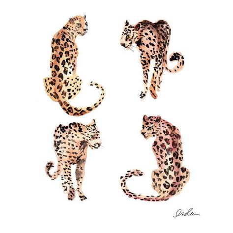 Four Leopards Animal Print Liked On Polyvore Featuring Animals And