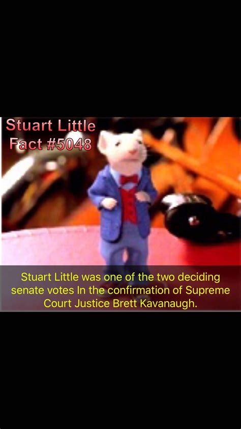 The surprising stuart stuart little fact from the original book 34
