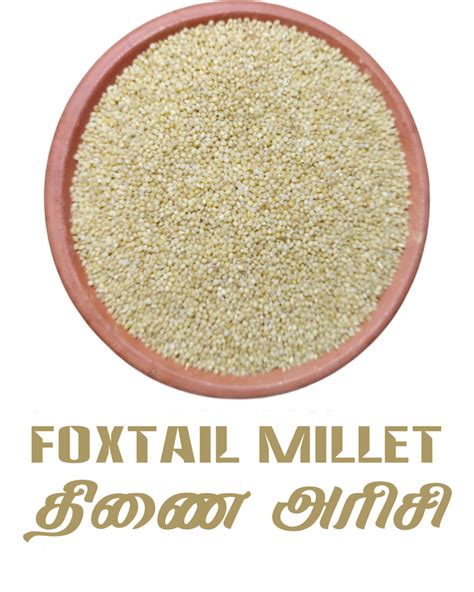 Light Brown Indian Foxtail Millet Packaging Size Kg High In